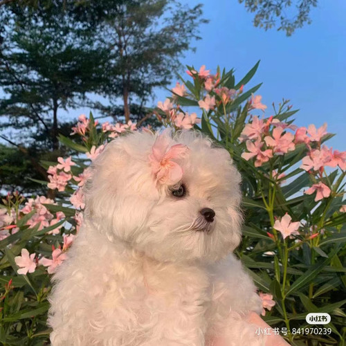 微信图片 20230418170115.jpg