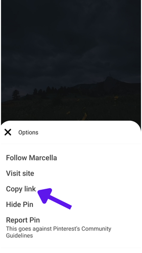 Pinterest video downloader.png