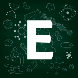 E.png