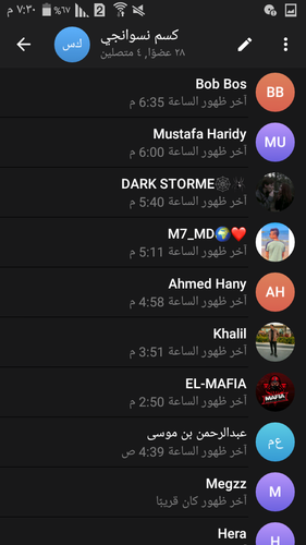 Screenshot ٢٠٢٣ ٠٤ ٢٥ ١٩ ٣٠ ٤٤.png