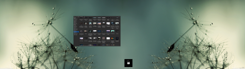 2020 01 31 @18 32 47 scrot.png