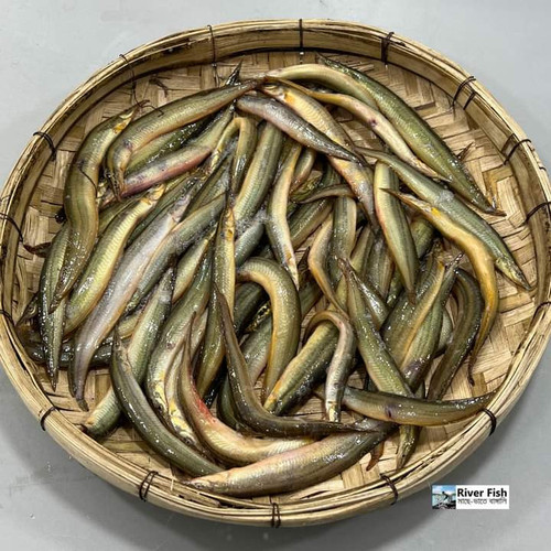 FB IMG 1675515560512.jpg