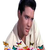 17124043yTbDUqFg.png