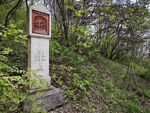 IMG 20230429 141539.jpg