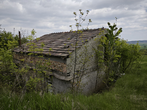 IMG 20230429 142606.jpg