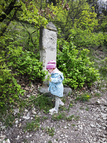 IMG 20230429 141106.jpg
