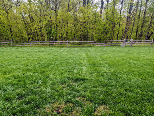 PXL 20230429 145336087~2