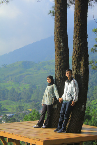 IMG 9553.jpg