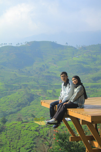 IMG 9532.jpg