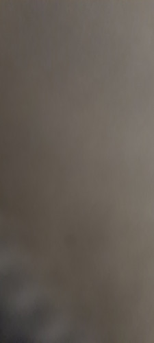 16827803123973148594285310938222.jpg