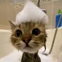 73b2611774fcd1014ab7dcda55582cfe.png