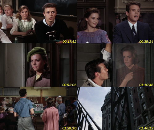 Esplendor en la hierba