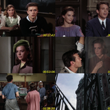 Esplendor en la hierba