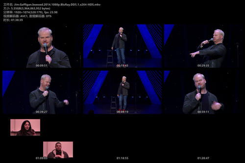 Jim.Gaffigan.bsessed.2014.1080p.BluRay.DD5.1.x264 HDS.mkv.png