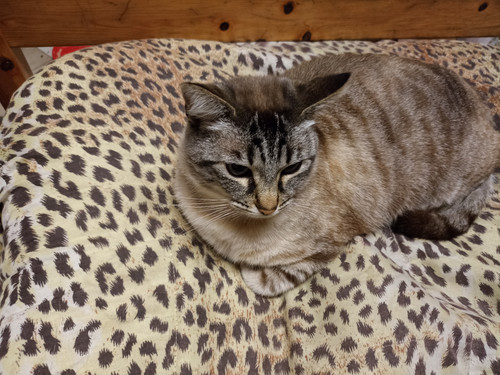 IMG 20230427 223017.jpg