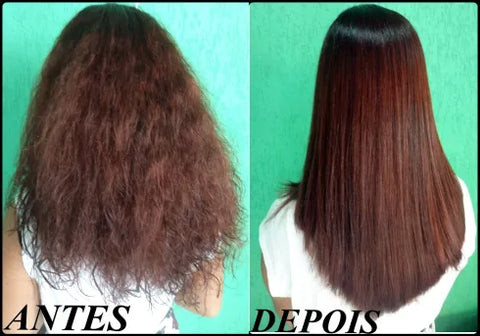 progressiva 480x480.jpg