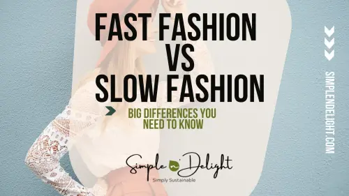 FAST FASHION VS SLOW FASHION 2.webp
