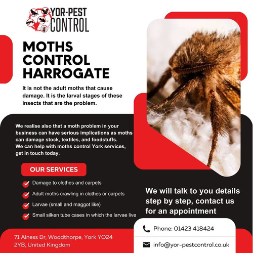 Yor Pest Control.jpg