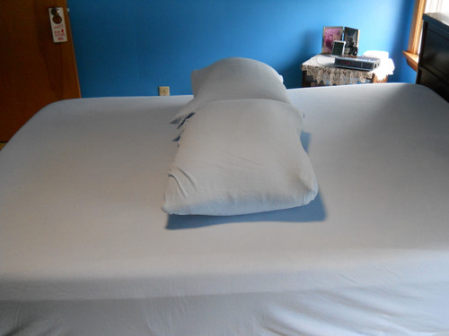 Side shot of my breeding bed.jpg