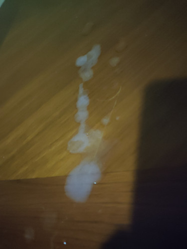 IMG 20230428 031741.jpg