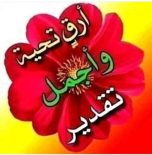 received 159043529996367.jpg