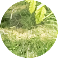 fd21814d46e2.png