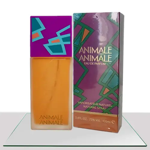 ANIMALE ANIMALE FEMENINO 11.webp