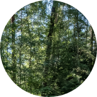 d126b5f67ec2.png