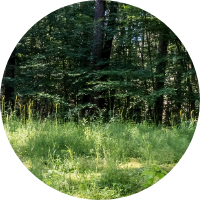 d6ecd46a2f6b.png