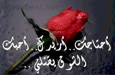 كلمات حب وغرام.jpg