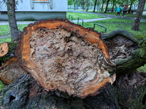 PXL 20230424 173140317.jpg