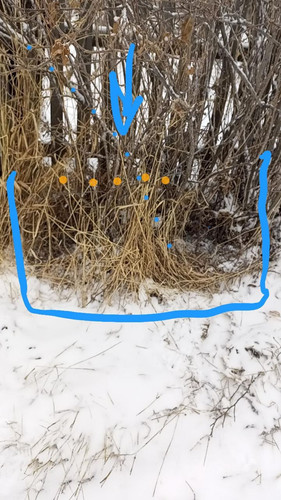 IMG 20230426 205709 052.jpg