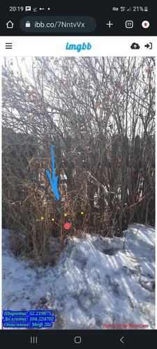 IMG 20230426 205656 471.jpg