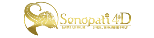 seno (1800 × 466 px).png