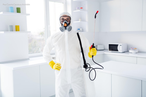 EnFocus Pest Prevention 18.jpg