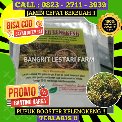 TERLARIS! CALL 0823-2711-3939 Jual Pupuk Kelengkeng Agar Buah Tidak Rontok.jpg