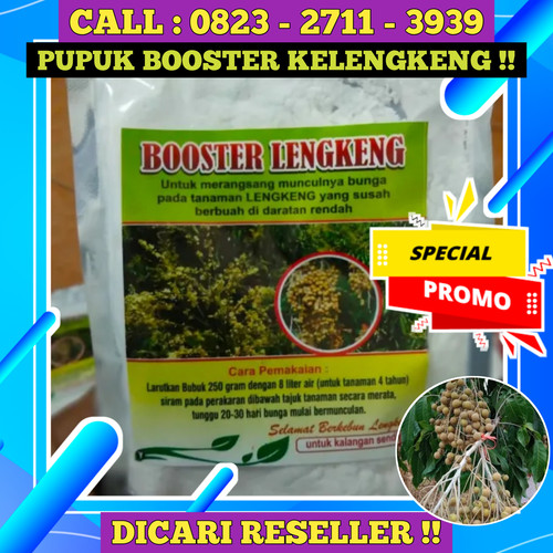 DICARI RESELLER! CALL 0823-2711-3939 Jual Pupuk Kelengkeng Agar Cepat Berbuah.jpg