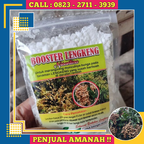 PENJUAL AMANAH! CALL 0823-2711-3939 Jual Pupuk Kelengkeng Agar Berbuah Lebat.jpg