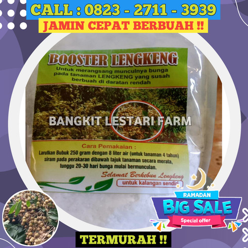 TERMURAH! CALL 0823-2711-3939 Jual Pupuk Kelengkeng Agar Cepat Besar.jpg