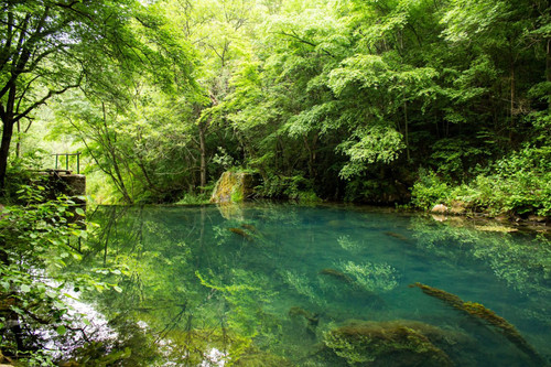 195 639b0b32ce6e6.jpg