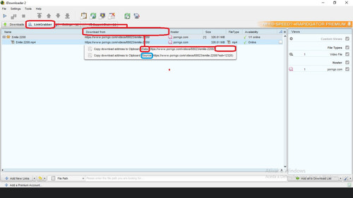 HOST porngo.com Wrong link DATA.jpg