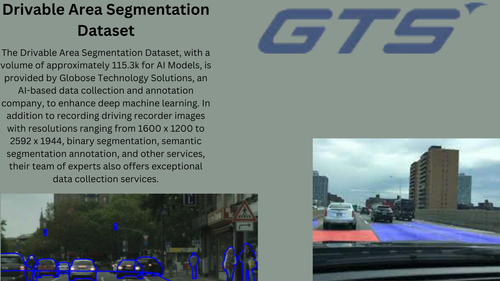 Drivable Area Segmentation Dataset.png