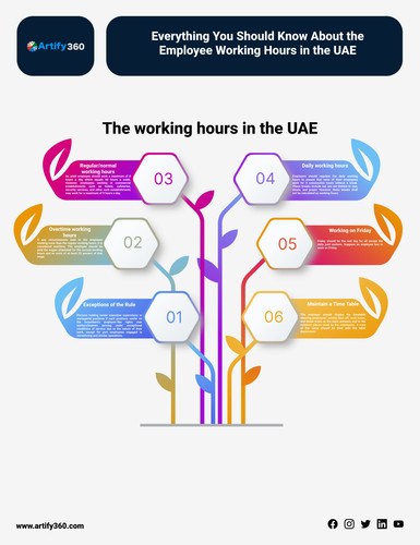 uae best payroll software (12).jpg