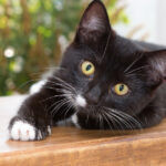 superbacterias 1 150x150 23042023172401205.jpg