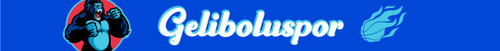 geli banner.jpg