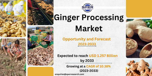 Ginger Processing Market.jpg