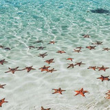 bai sao phu quoc thumb