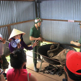 phu quoc 9 ZUEV