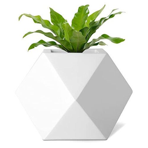 The Advantages of Fiberglass Planters for Your Plant.jpg