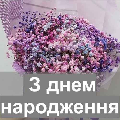 pic.jpg